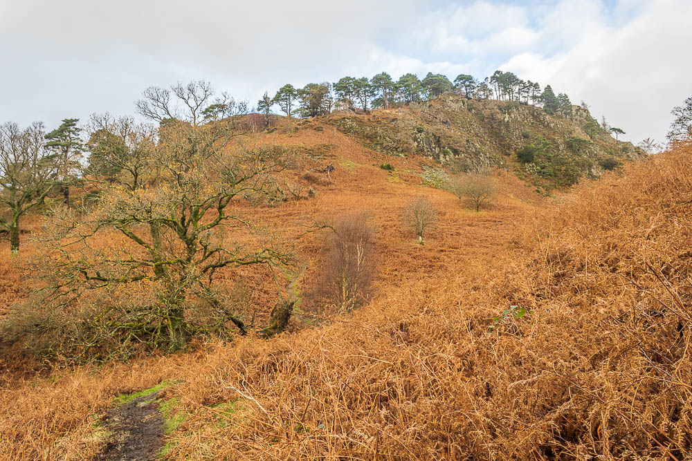 Wren Crag Wren Crag